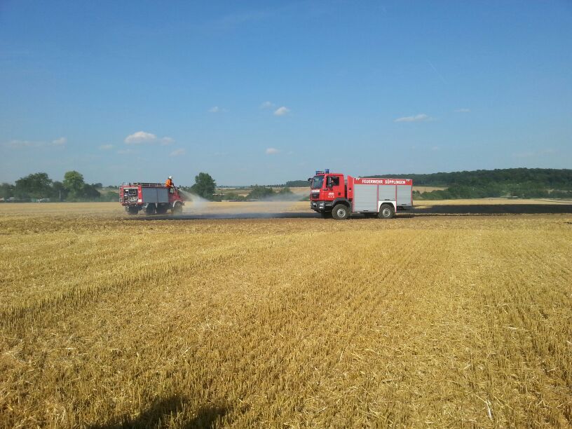 Brand Stoppelfeld